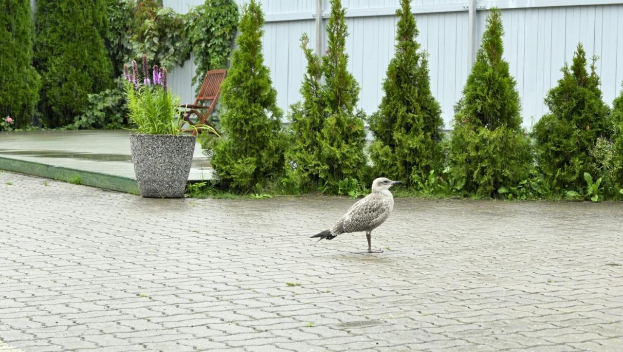 Tallinn Apartments K8 Free Parking Exterior photo